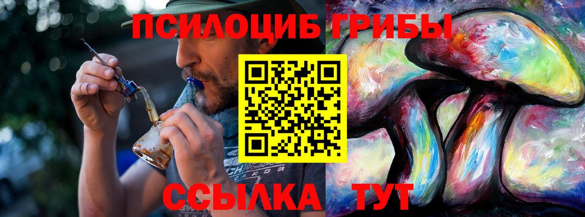 Галлюциногенные грибы мицелий Грозный